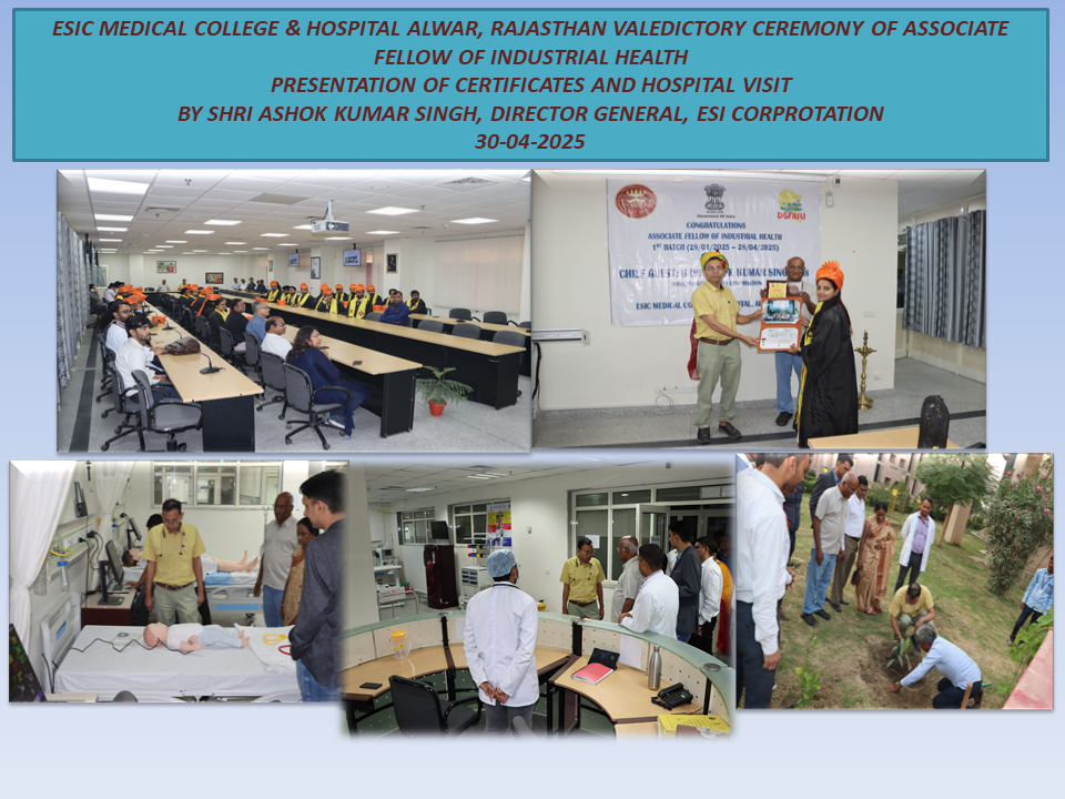 AFIH Certificate Programme